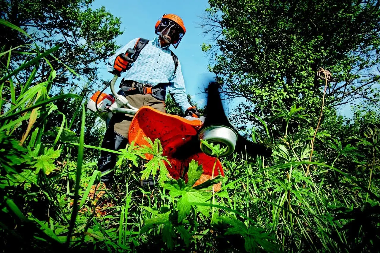 En person med skyddsutrustning häcksaxar buskar med en motordriven trimmer i tät grönska.