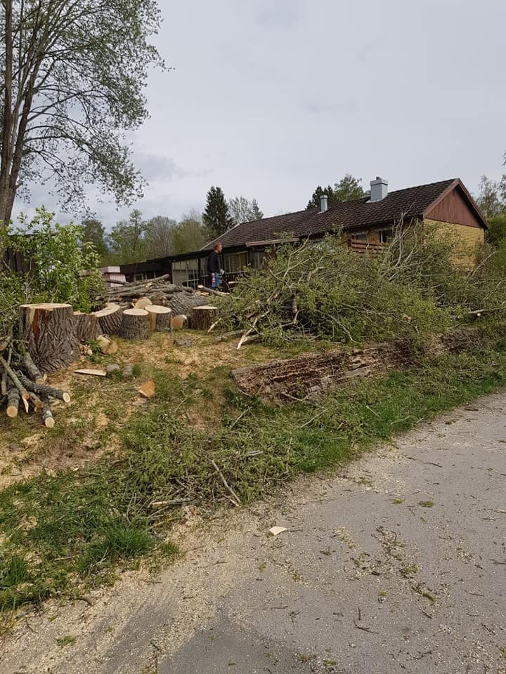 ML Skog & Allservice AB – Trädfällning / Arborist, bild 2